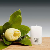 'W' Unscented Range Candles