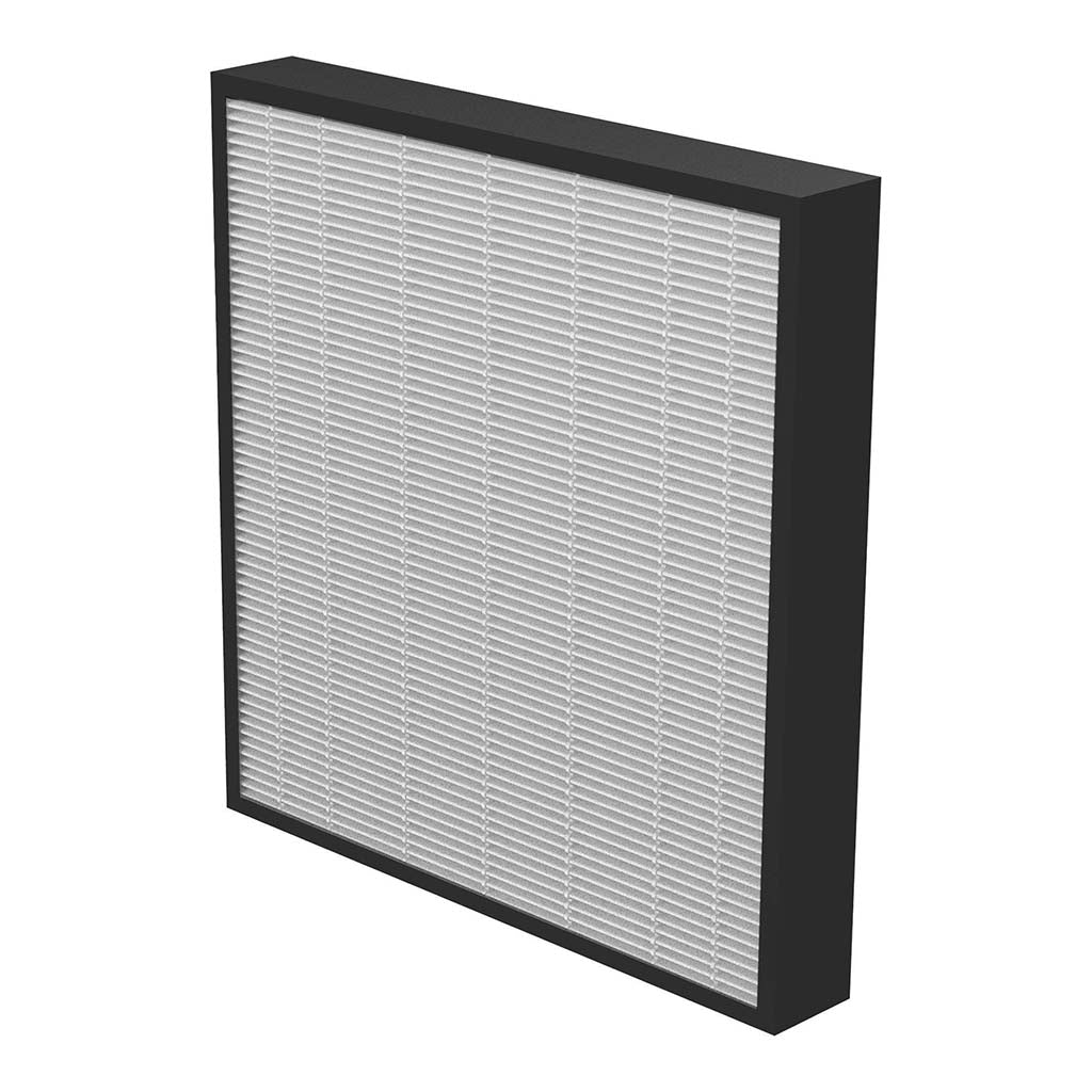 AeraMax PRO AM3-4 True HEPA Filter, Pack of 2