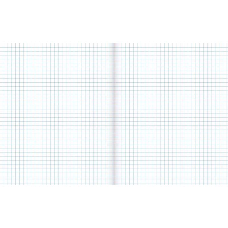 Warwick Exercise Book 1E5 36 Leaf Quad 7mm 255x205mm