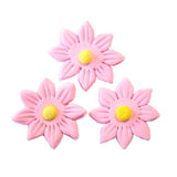 Icing Pink Daisy, 35mm. Box of 120