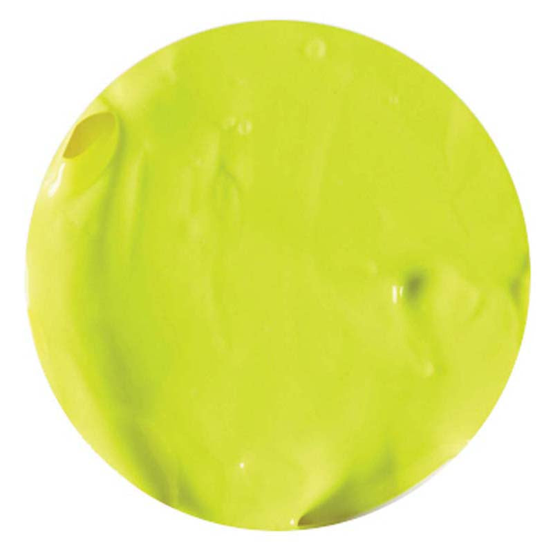 EC Paint Rainbow Fluoro Yellow 250ml