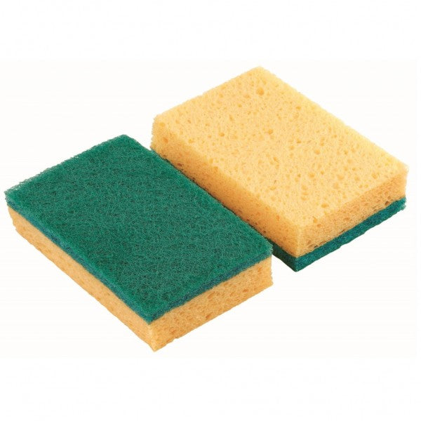 Raven Scourer/Sponge Twinpack (12)