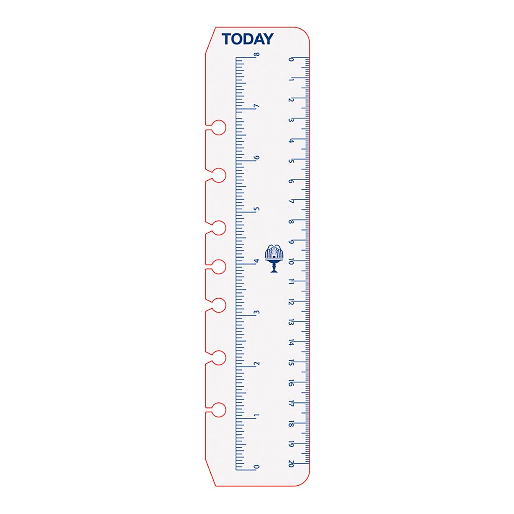 Debden Desk Dayplanner Today Ruler, Pack of 2