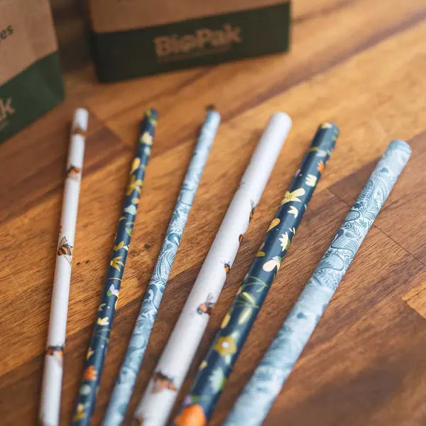 6mm Regular Art Series BioStraw