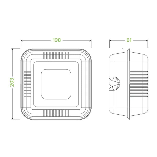 20x22x9cm / 7.8x8x3in White Plant Fibre Clamshell