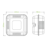 20x22x8cm / 7.8x8x3in 3-Compartment White Plant Fibre Clamshell