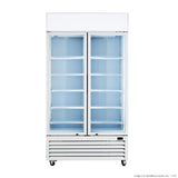 Large Two Glass Door Colourbond Upright Drink Fridge - Cafe Supply