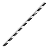 6mm Regular Black Stripe BioStraw