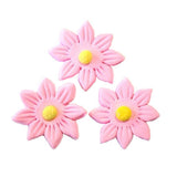 Icing Pink Daisy, 35mm. Box of 120