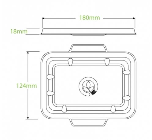 500 & 600ML NATURAL BIOCANE TAKEAWAY BASE LID - Cafe Supply