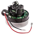 PACVAC SUPERPRO FLOW THOUGH - 36V 300W BRUSHLESS MOTOR - Cafe Supply